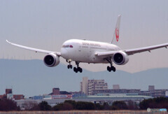 希望の翼2021✈Dreamliner