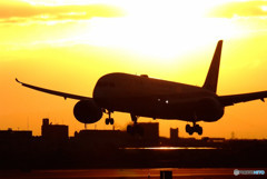 Golden Time・787
