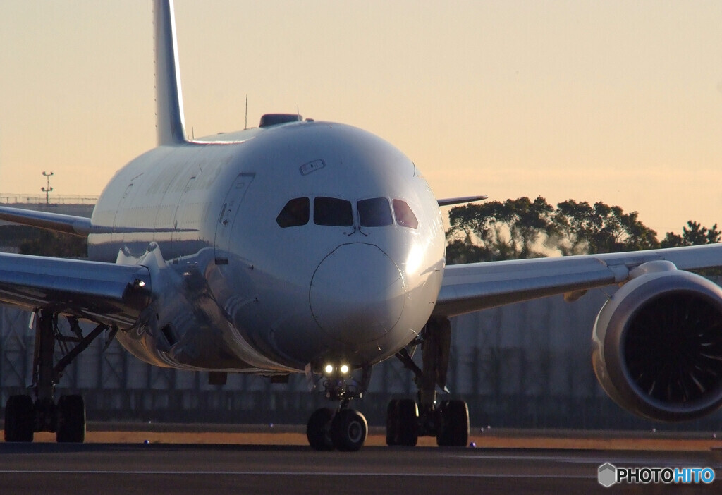 Start LineⅢ✈Dreamliner 