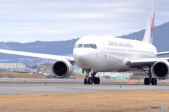 JA655J✈沖縄へGO!