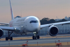 SKYLANDの想い✈JA01XJ