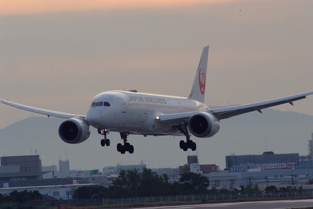 Morning Bird★Boeing787-8