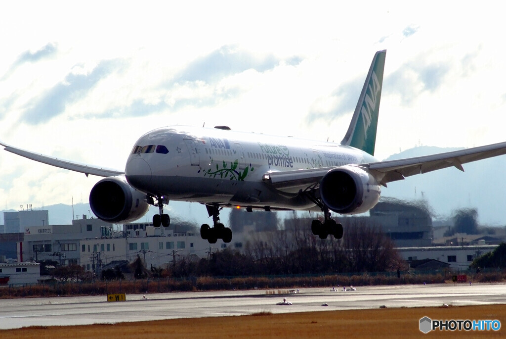 2月の空✈ANA Green JET