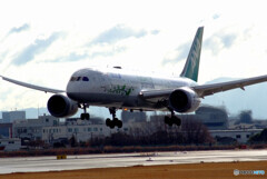 2月の空✈ANA Green JET