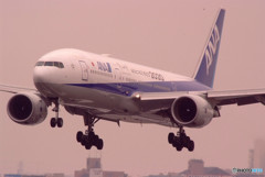 春色に誘われてⅣ・2020