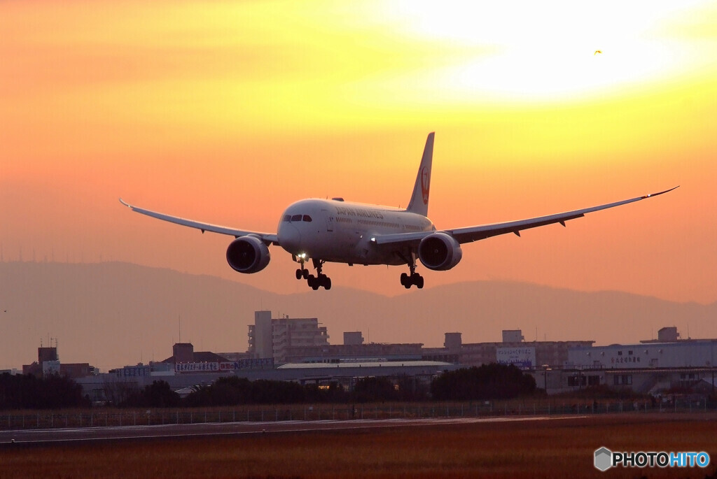 Morning Bird★HARADA787