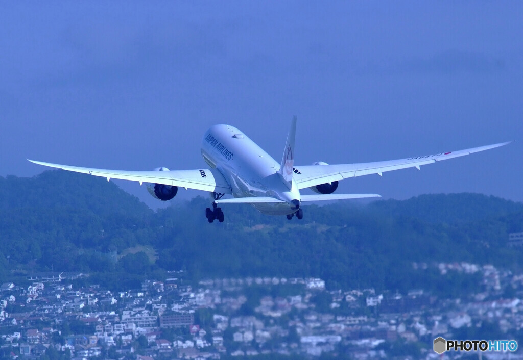 栄光の翼✈Dreamliner 