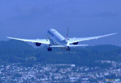 栄光の翼✈Dreamliner 