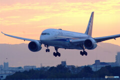 Morning Star✈Boeing 787-8