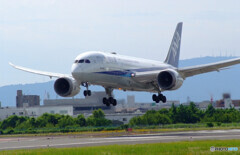 Morning Shot✈Boeing787-8