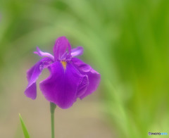 永遠の時・第3章