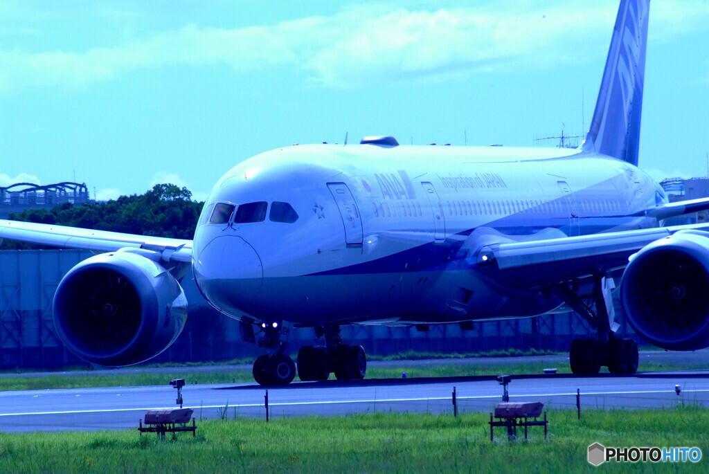 蒼が飛ぶ✈ANA Dreamliner
