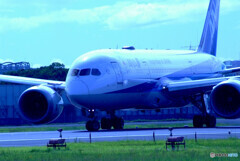 蒼が飛ぶ✈ANA Dreamliner