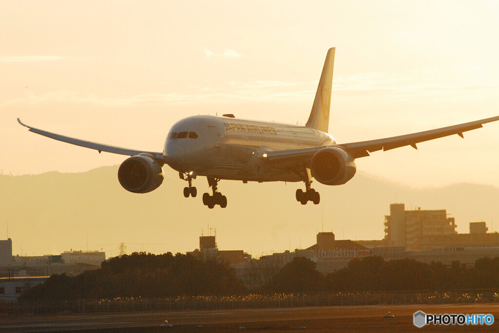 飛翔2023✈Boeing 787-8