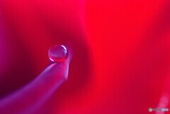 February planet✿艶