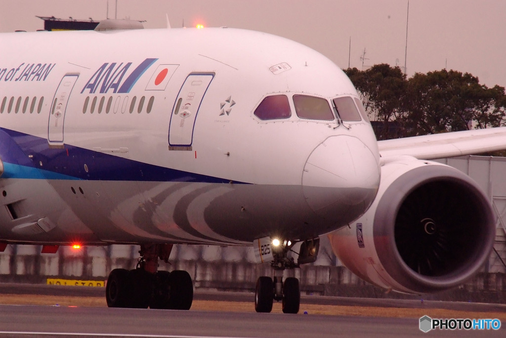 Engine Stop・JA825A