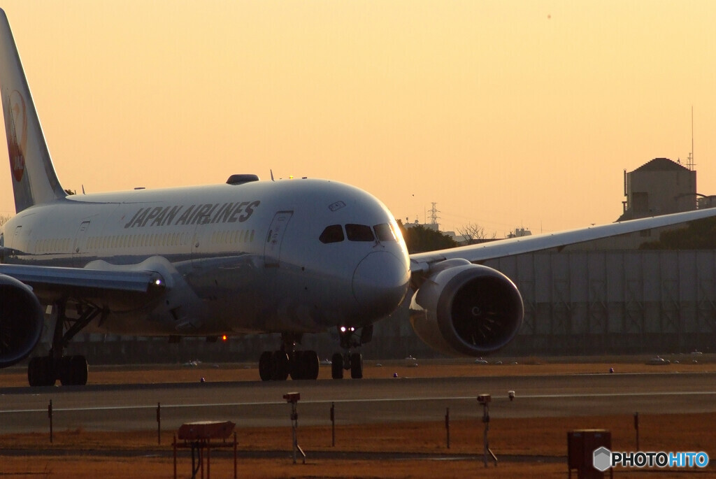 会いにいこうⅤ✈JAL Boeing787-8