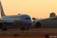会いにいこうⅤ✈JAL Boeing787-8
