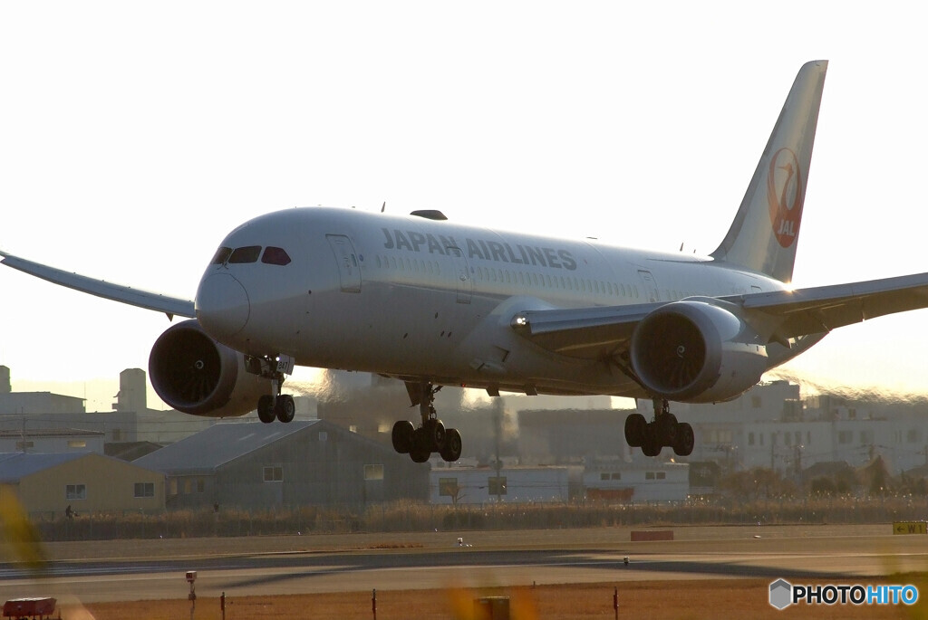 HARADAの朝✈787-8 Dreamliner