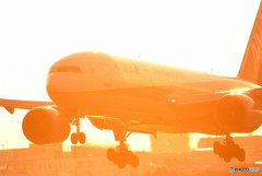 黄金の輝き・777