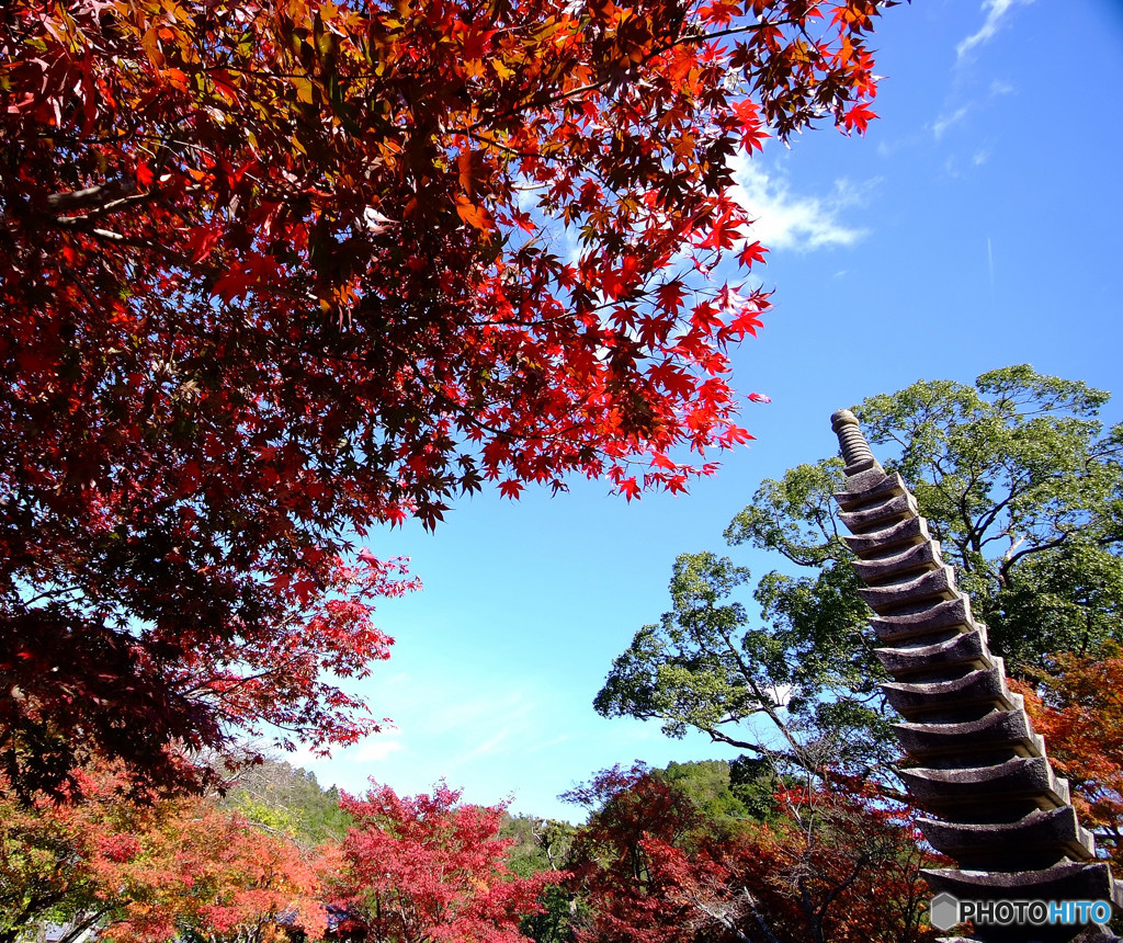 奥嵯峨・念仏寺にて