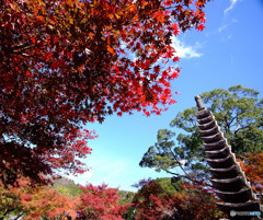 奥嵯峨・念仏寺にて