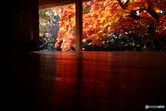 紅葉の悪戯