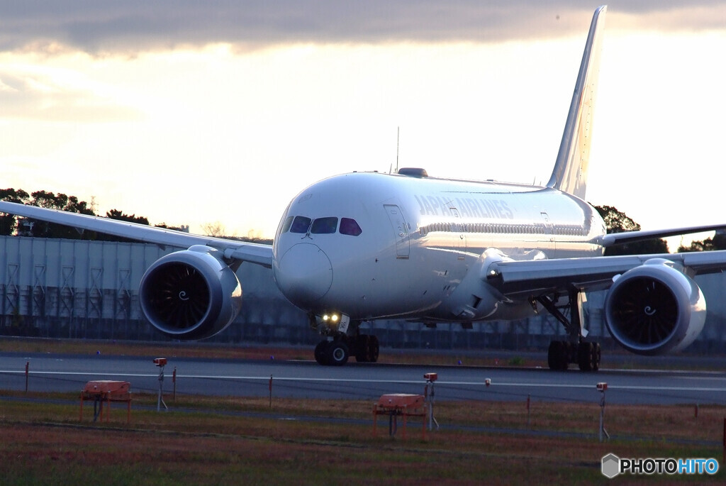 11月の朝✈Dreamliner