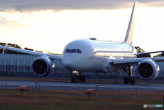 11月の朝✈Dreamliner