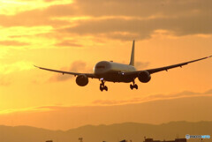 熱視線✈Boeing 787-9