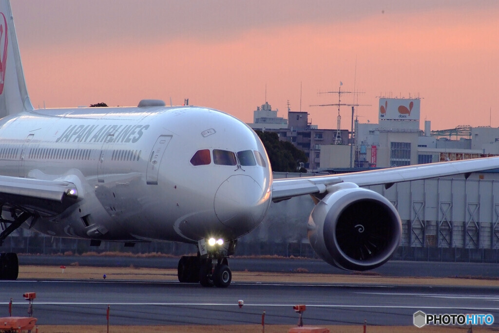 Japanese beautyⅢ✈JAL Dreamliner