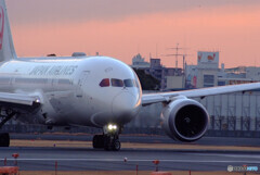 Japanese beautyⅢ✈JAL Dreamliner