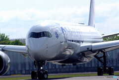 Delusional tripⅣ GW✈JA15XJ