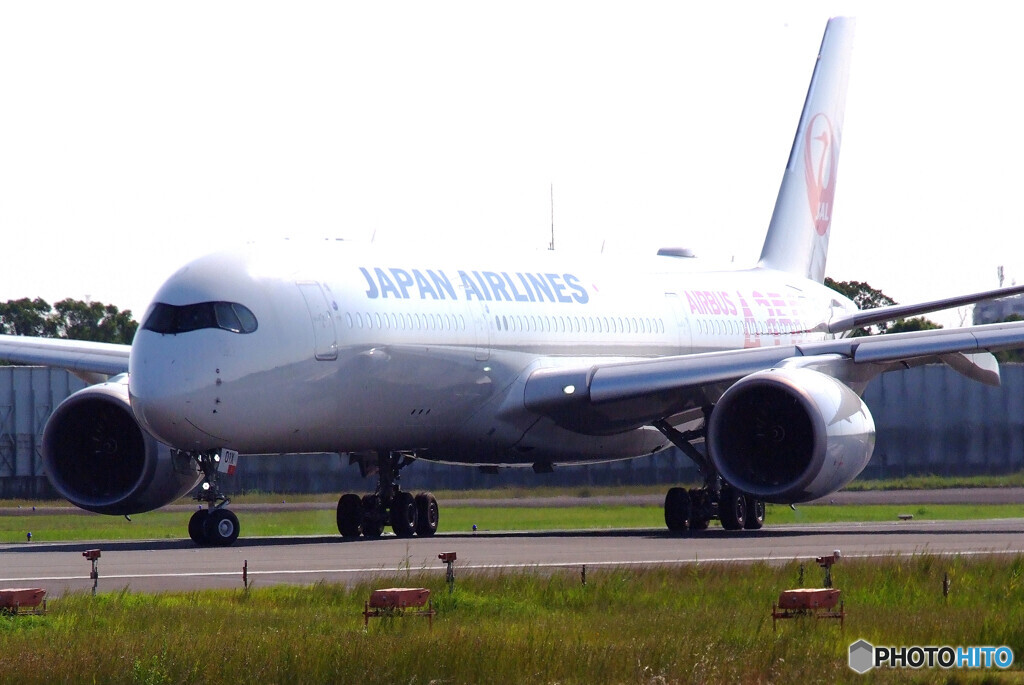 September wings✈JA01XJ