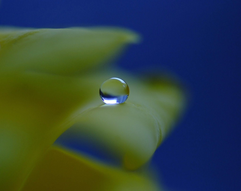 想い玉・雫（Ⅸ）