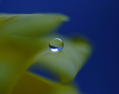 想い玉・雫（Ⅸ）