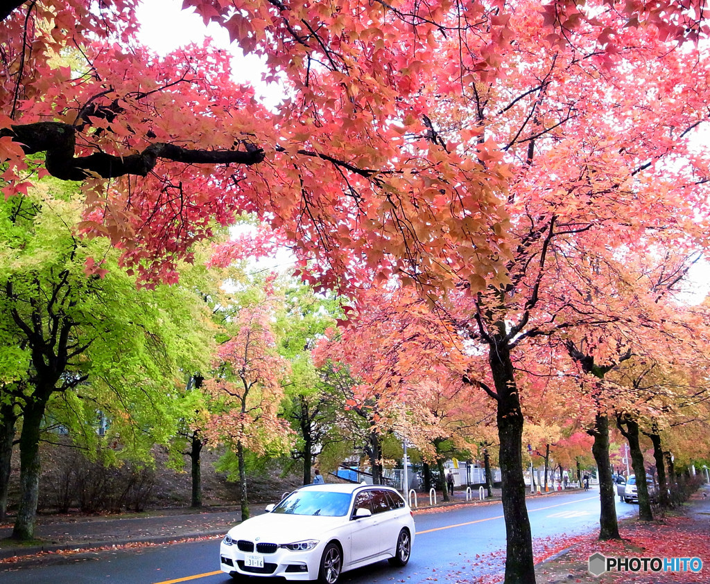 雨の三彩街道にて