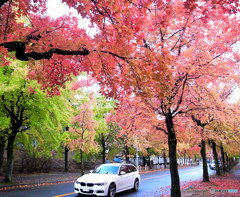 雨の三彩街道にて