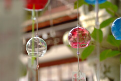 彩りの夏✿京の朝
