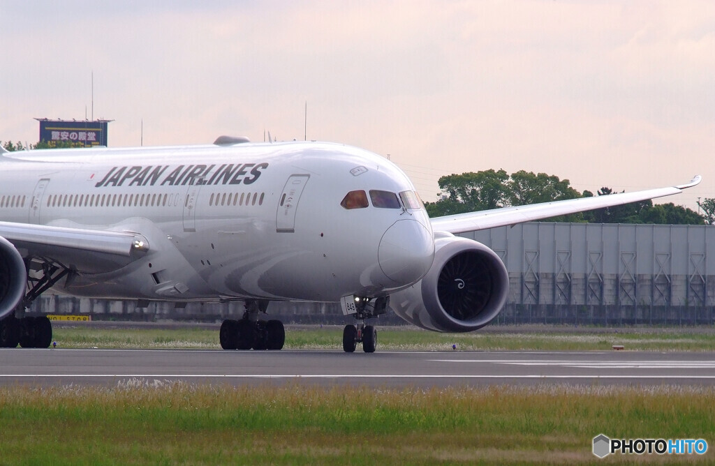 俺の朝✈787-8 Dreamliner