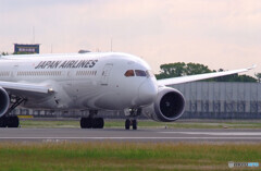 俺の朝✈787-8 Dreamliner