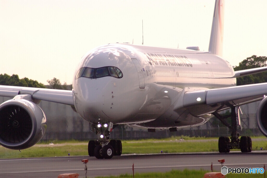 熱視線✈A350-900