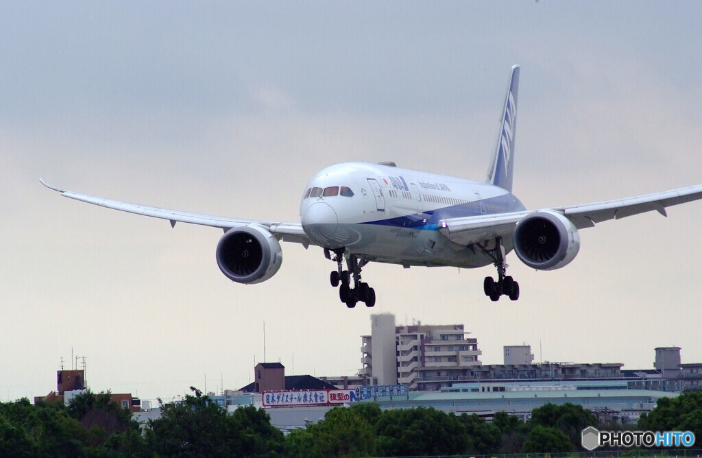 June Journey✈HARADA