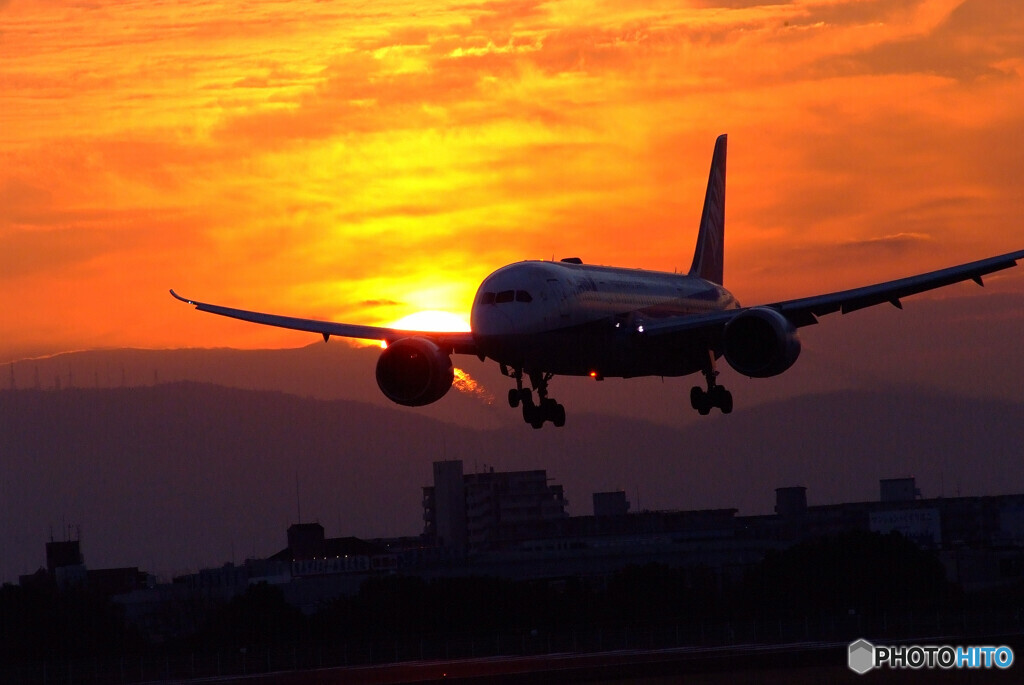 熱視線2022✈Dreamliner
