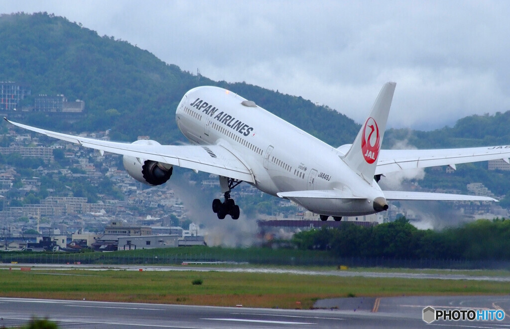 雨上がりのSky Park Ⅲ✈JAL Dreamliner