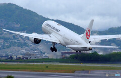 雨上がりのSky Park Ⅲ✈JAL Dreamliner