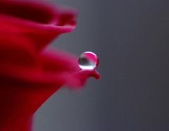 小さな惑星・雫　