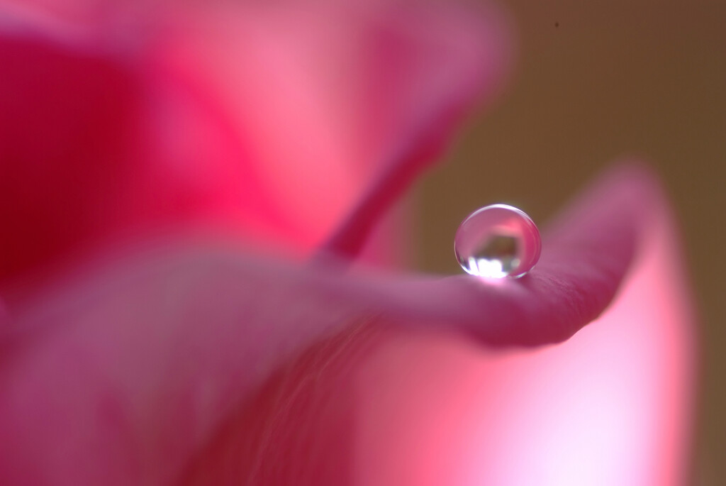 雫遊び✿霞初月の朝