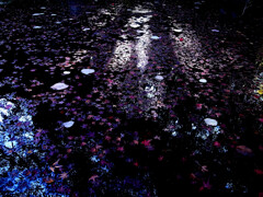 erminal Station❁落葉2025