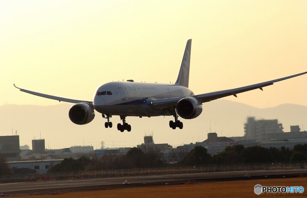 3月の翼★ANA Boeing787-8